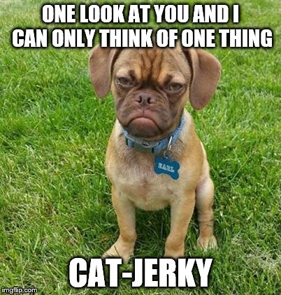 ONE LOOK AT YOU AND I CAN ONLY THINK OF ONE THING CAT-JERKY | made w/ Imgflip meme maker