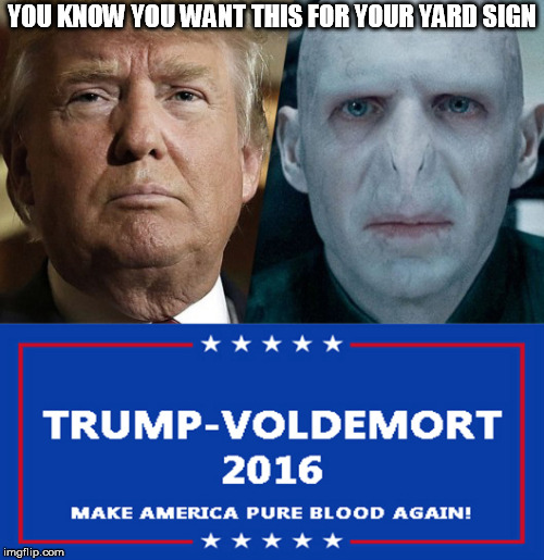 trump-voldemort | YOU KNOW YOU WANT THIS FOR YOUR YARD SIGN | image tagged in trump,voldemort,election 2016 | made w/ Imgflip meme maker