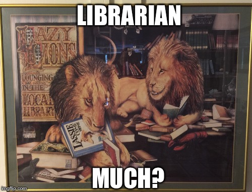 LIBRARIAN MUCH? | made w/ Imgflip meme maker
