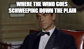 WHERE THE WIND GOES SCHWEEPING DOWN THE PLAIN | made w/ Imgflip meme maker