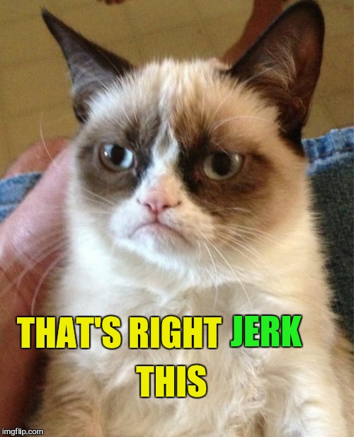 Grumpy Cat Meme | JERK THAT'S RIGHT THIS | image tagged in memes,grumpy cat | made w/ Imgflip meme maker