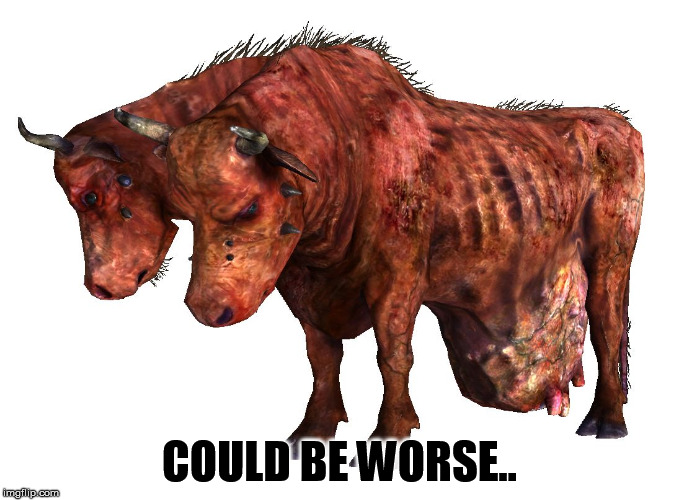 cowses | COULD BE WORSE.. | image tagged in cowses | made w/ Imgflip meme maker