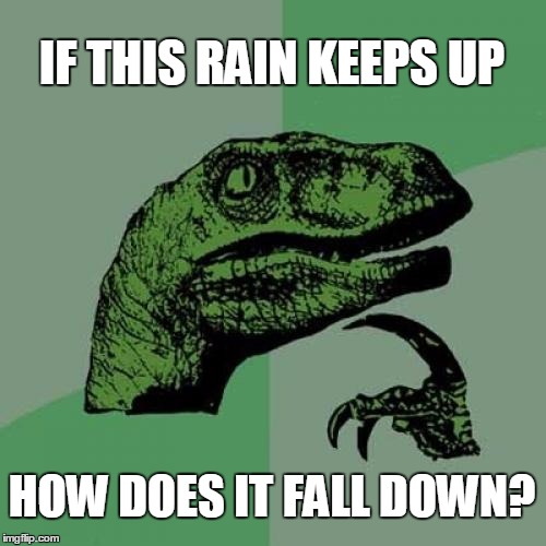 Philosoraptor Meme | IF THIS RAIN KEEPS UP; HOW DOES IT FALL DOWN? | image tagged in memes,philosoraptor | made w/ Imgflip meme maker