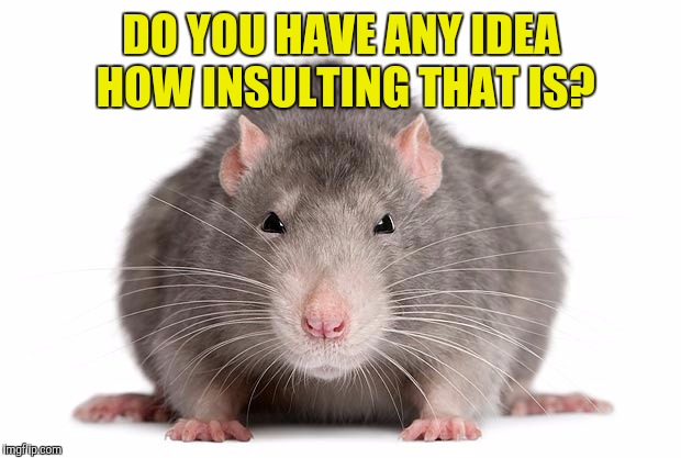DO YOU HAVE ANY IDEA HOW INSULTING THAT IS? | made w/ Imgflip meme maker