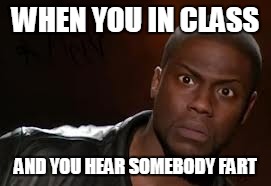 Kevin Hart | WHEN YOU IN CLASS; AND YOU HEAR SOMEBODY FART | image tagged in memes,kevin hart the hell | made w/ Imgflip meme maker