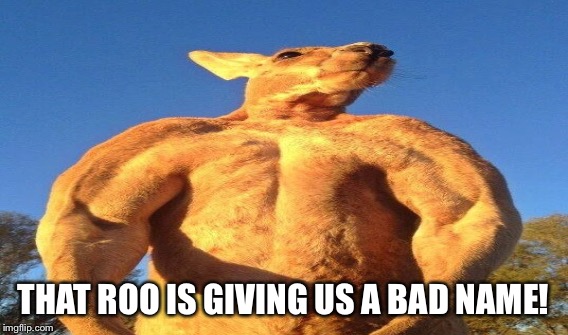 THAT ROO IS GIVING US A BAD NAME! | made w/ Imgflip meme maker