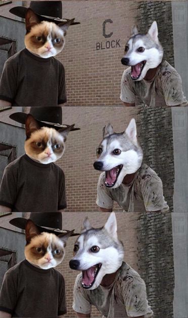Grumpy Cat and Bad Pun Dog Blank Meme Template