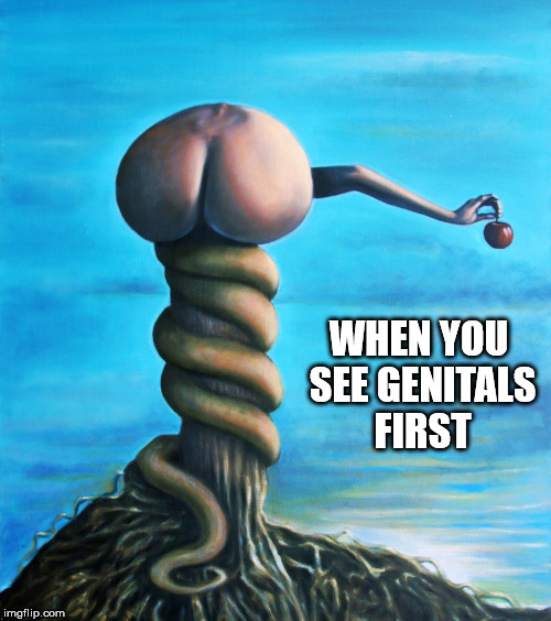genitals first | WHEN YOU SEE GENITALS FIRST | image tagged in genitals,first,first world problems | made w/ Imgflip meme maker