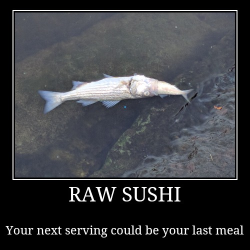 Sushi demotivational | image tagged in funny,demotivationals,fish,sushi,fishing | made w/ Imgflip demotivational maker