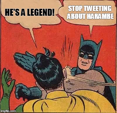 Batman Slapping Robin | HE'S A LEGEND! STOP TWEETING ABOUT HARAMBE | image tagged in memes,batman slapping robin | made w/ Imgflip meme maker