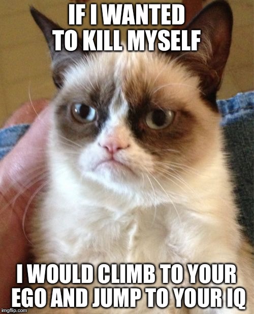 Grumpy Cat | IF I WANTED TO KILL MYSELF; I WOULD CLIMB TO YOUR EGO AND JUMP TO YOUR IQ | image tagged in memes,grumpy cat | made w/ Imgflip meme maker