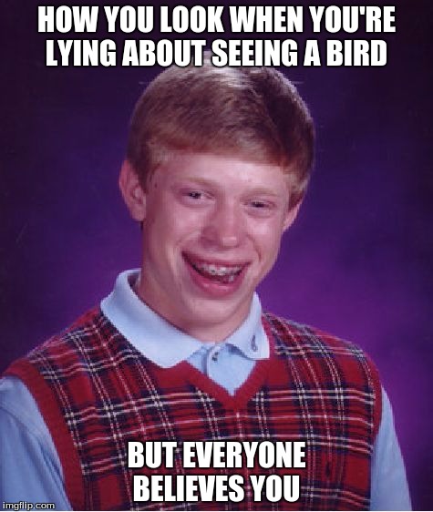 Bad Luck Brian Meme | HOW YOU LOOK WHEN YOU'RE LYING ABOUT SEEING A BIRD; BUT EVERYONE BELIEVES YOU | image tagged in memes,bad luck brian | made w/ Imgflip meme maker