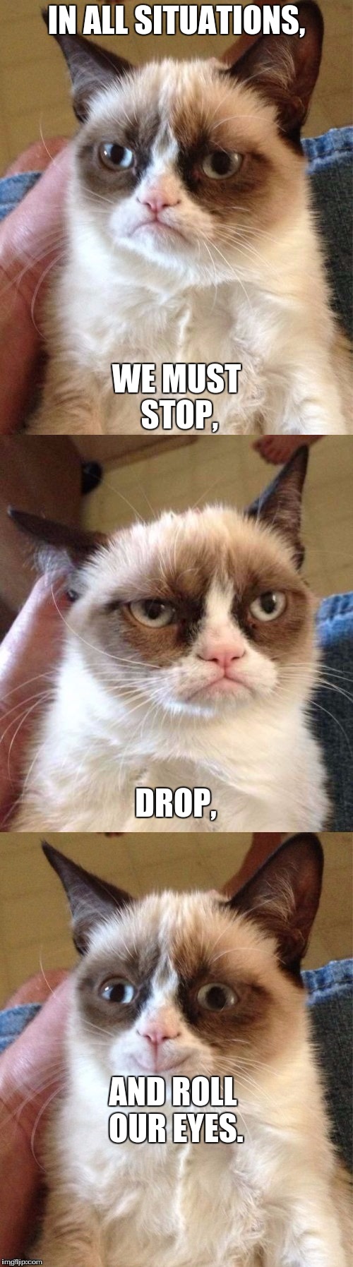 Bad Pun Grumpy Cat | IN ALL SITUATIONS, WE MUST STOP, DROP, AND ROLL OUR EYES. | image tagged in bad pun grumpy cat | made w/ Imgflip meme maker