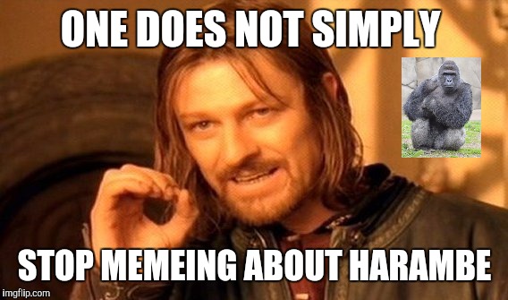 One Does Not Simply Meme | ONE DOES NOT SIMPLY STOP MEMEING ABOUT HARAMBE | image tagged in memes,one does not simply | made w/ Imgflip meme maker