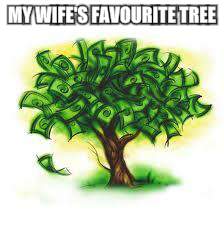She thinks it's real... | MY WIFE'S FAVOURITE TREE | image tagged in money tree,wife,money | made w/ Imgflip meme maker