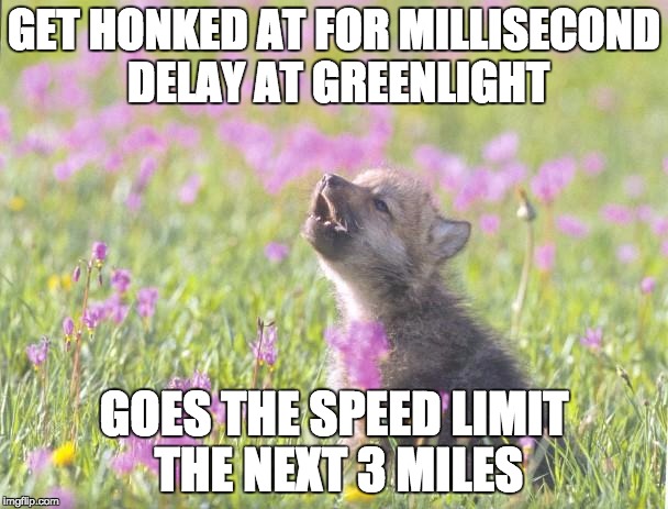 Baby Insanity Wolf Meme | GET HONKED AT FOR MILLISECOND DELAY AT GREENLIGHT; GOES THE SPEED LIMIT THE NEXT 3 MILES | image tagged in memes,baby insanity wolf | made w/ Imgflip meme maker
