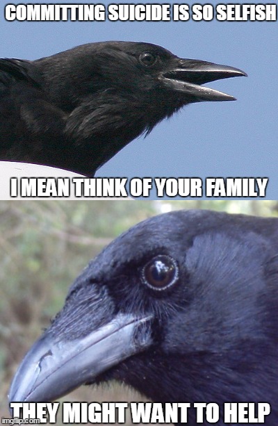 Insult Crow | COMMITTING SUICIDE IS SO SELFISH; I MEAN THINK OF YOUR FAMILY; THEY MIGHT WANT TO HELP | image tagged in bad pun crow,bad pun dangerfield,suicide,insult | made w/ Imgflip meme maker