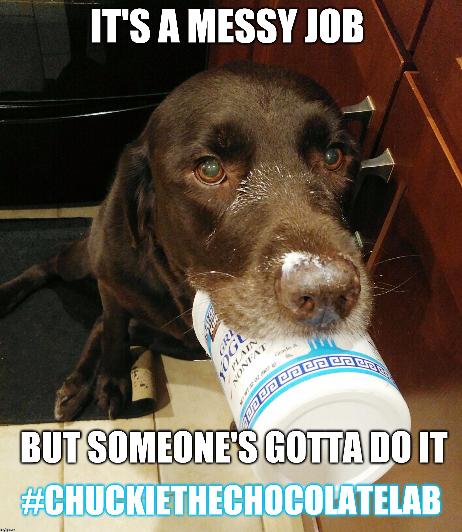 It's a messy job, but someone's gotta do it  | IT'S A MESSY JOB; BUT SOMEONE'S GOTTA DO IT; #CHUCKIETHECHOCOLATELAB | image tagged in chuckie the chocolate lab,messy job,funny,dog memes,labrador,yogurt | made w/ Imgflip meme maker