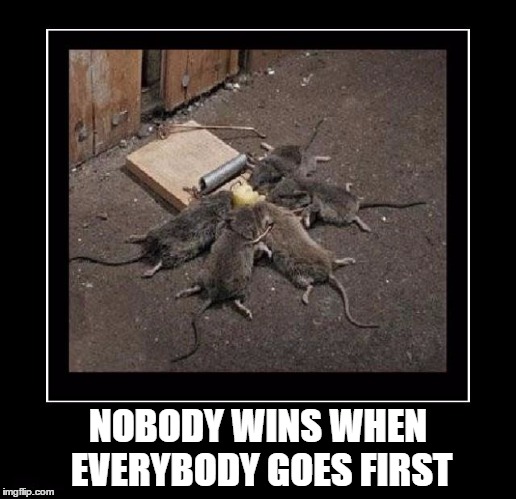 This is why I wait my turn... | NOBODY WINS WHEN EVERYBODY GOES FIRST | image tagged in teamwork,mice,cheeese,mouse trap | made w/ Imgflip meme maker