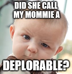 Skeptical Baby | DID SHE CALL MY MOMMIE A; DEPLORABLE? | image tagged in memes,skeptical baby | made w/ Imgflip meme maker