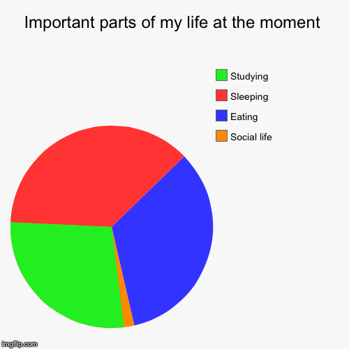 image tagged in funny,pie charts | made w/ Imgflip chart maker