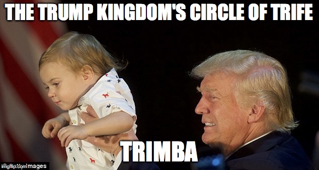 THE TRUMP KINGDOM'S CIRCLE OF TRIFE; TRIMBA | image tagged in simba | made w/ Imgflip meme maker