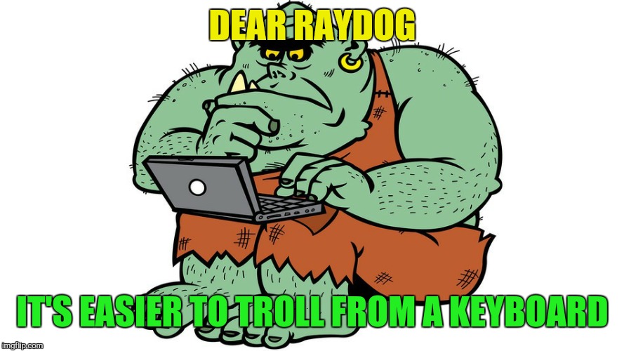 Troll | DEAR RAYDOG IT'S EASIER TO TROLL FROM A KEYBOARD | image tagged in troll | made w/ Imgflip meme maker