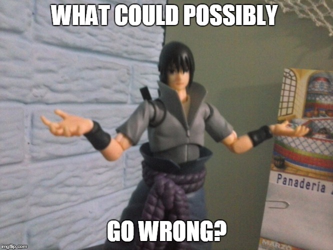 sasuke | WHAT COULD POSSIBLY; GO WRONG? | image tagged in sasuke | made w/ Imgflip meme maker