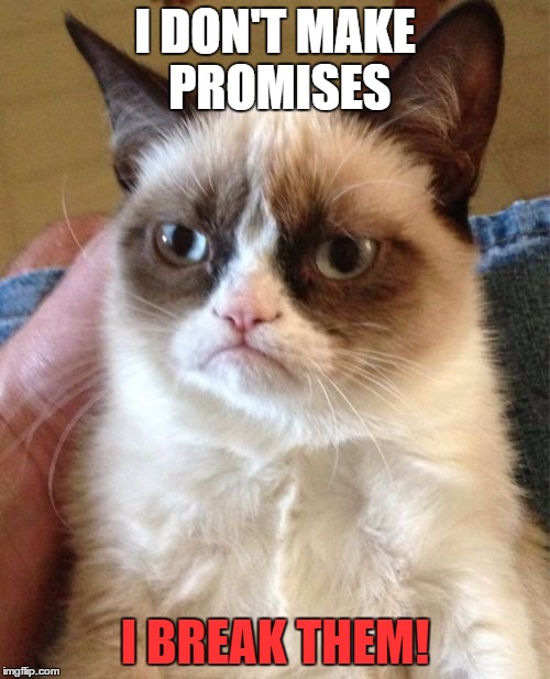 Grumpy Cat Meme | I DON'T MAKE PROMISES; I BREAK THEM! | image tagged in memes,grumpy cat | made w/ Imgflip meme maker