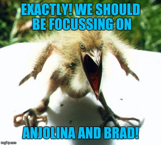 Angry bird | EXACTLY! WE SHOULD BE FOCUSSING ON ANJOLINA AND BRAD! | image tagged in angry bird | made w/ Imgflip meme maker