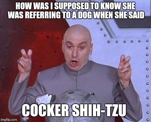 Dr Evil Laser | HOW WAS I SUPPOSED TO KNOW SHE WAS REFERRING TO A DOG WHEN SHE SAID; COCKER SHIH-TZU | image tagged in memes,dr evil laser | made w/ Imgflip meme maker