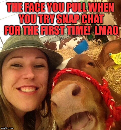 Laughing cow | THE FACE YOU PULL WHEN YOU TRY SNAP CHAT FOR THE FIRST TIME! 
LMAO | image tagged in funny,farm,cow,snapchat,lmao | made w/ Imgflip meme maker