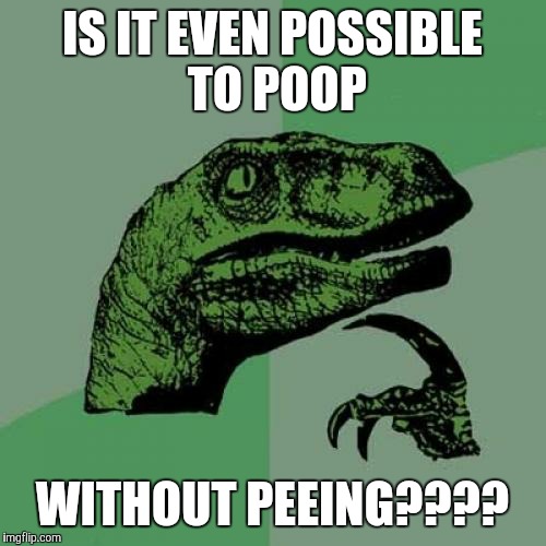 Philosoraptor | IS IT EVEN POSSIBLE TO POOP; WITHOUT PEEING???? | image tagged in memes,philosoraptor | made w/ Imgflip meme maker