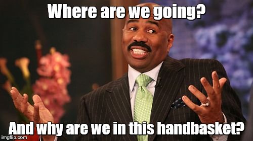 Where are we going? And why are we in this handbasket? | image tagged in memes,steve harvey | made w/ Imgflip meme maker