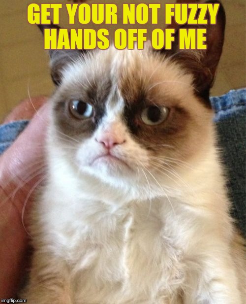 Grumpy Cat | GET YOUR NOT FUZZY HANDS OFF OF ME | image tagged in memes,grumpy cat | made w/ Imgflip meme maker