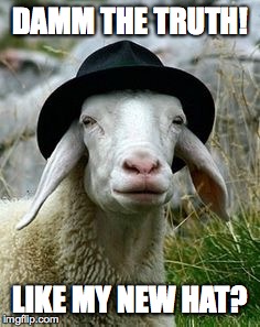 sheep fedora | DAMM THE TRUTH! LIKE MY NEW HAT? | image tagged in sheep fedora | made w/ Imgflip meme maker