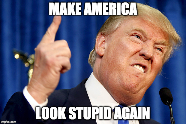 Donald Trump | MAKE AMERICA; LOOK STUPID AGAIN | image tagged in donald trump | made w/ Imgflip meme maker