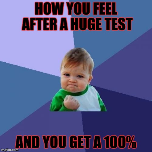 Success Kid | HOW YOU FEEL AFTER A HUGE TEST; AND YOU GET A 100% | image tagged in memes,success kid | made w/ Imgflip meme maker