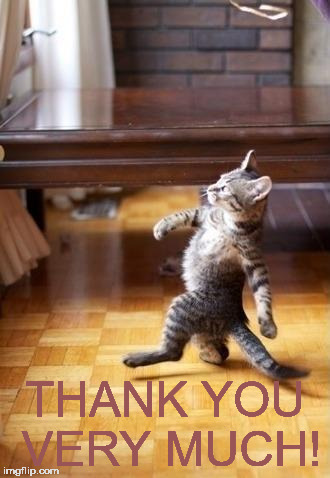 Cool Cat Stroll | THANK YOU VERY MUCH! | image tagged in memes,cool cat stroll | made w/ Imgflip meme maker
