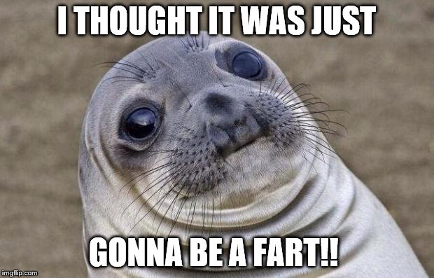 Awkward Moment Sealion Meme | I THOUGHT IT WAS JUST; GONNA BE A FART!! | image tagged in memes,awkward moment sealion | made w/ Imgflip meme maker