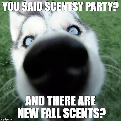 Scentsy Party | YOU SAID SCENTSY PARTY? AND THERE ARE NEW FALL SCENTS? | image tagged in scentsy,scents | made w/ Imgflip meme maker