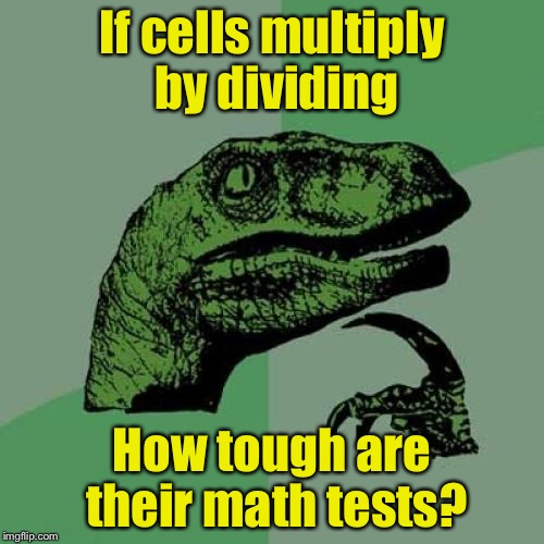 Philosoraptor Meme | If cells multiply by dividing; How tough are their math tests? | image tagged in memes,philosoraptor | made w/ Imgflip meme maker