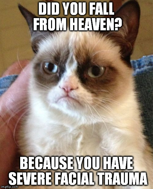 this came out about the same time the other "did you fall from heaven" joke, this is not a repost |  DID YOU FALL FROM HEAVEN? BECAUSE YOU HAVE SEVERE FACIAL TRAUMA | image tagged in memes,grumpy cat | made w/ Imgflip meme maker