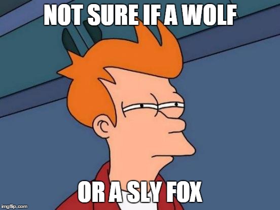 Futurama Fry Meme | NOT SURE IF A WOLF OR A SLY FOX | image tagged in memes,futurama fry | made w/ Imgflip meme maker