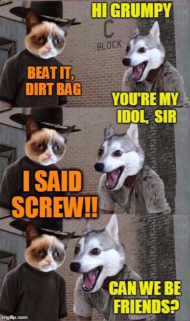 wow.  some dogs just don't take hints | HI GRUMPY; BEAT IT,  DIRT BAG; YOU'RE MY IDOL,  SIR; I SAID SCREW!! CAN WE BE FRIENDS? | image tagged in grumpy cat and bad pun dog | made w/ Imgflip meme maker