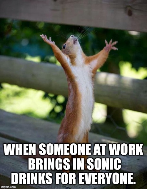 Happy Squirrel | WHEN SOMEONE AT WORK BRINGS IN SONIC DRINKS FOR EVERYONE. | image tagged in happy squirrel | made w/ Imgflip meme maker