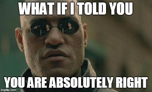 Matrix Morpheus Meme | WHAT IF I TOLD YOU YOU ARE ABSOLUTELY RIGHT | image tagged in memes,matrix morpheus | made w/ Imgflip meme maker