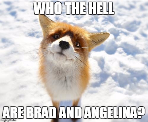 WHO THE HELL ARE BRAD AND ANGELINA? | made w/ Imgflip meme maker