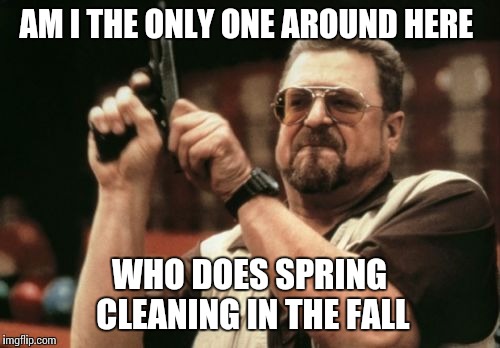 Am I The Only One Around Here | AM I THE ONLY ONE AROUND HERE; WHO DOES SPRING CLEANING IN THE FALL | image tagged in memes,am i the only one around here | made w/ Imgflip meme maker