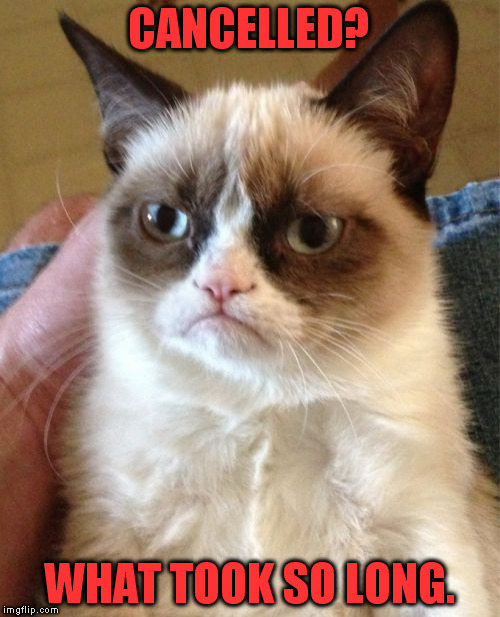 Grumpy Cat Meme | CANCELLED? WHAT TOOK SO LONG. | image tagged in memes,grumpy cat | made w/ Imgflip meme maker